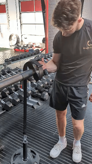 Barbell Pronator