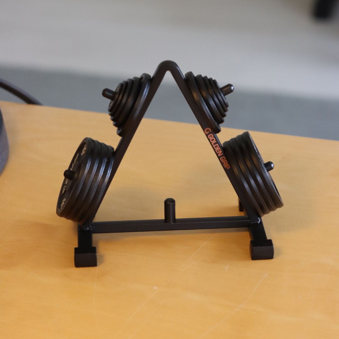 Mini Albero Porta Dischi