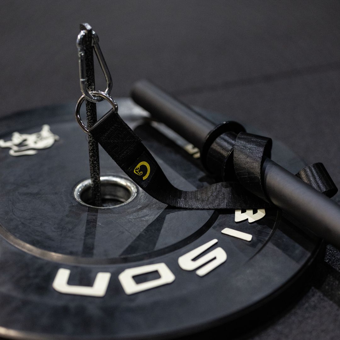 Wrist Roller Guide: Build Massive Forearms with This Brutal Tool