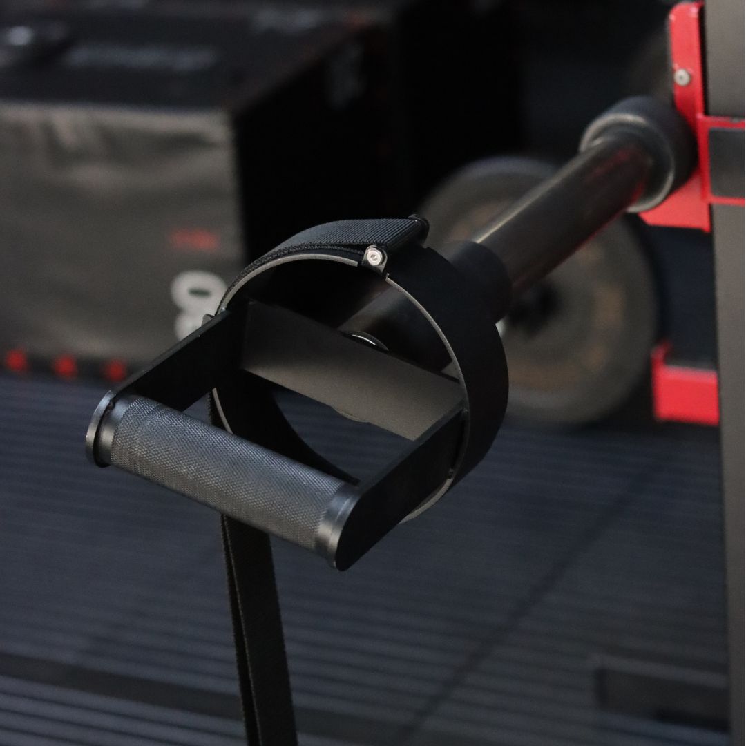 Barbell Pronator