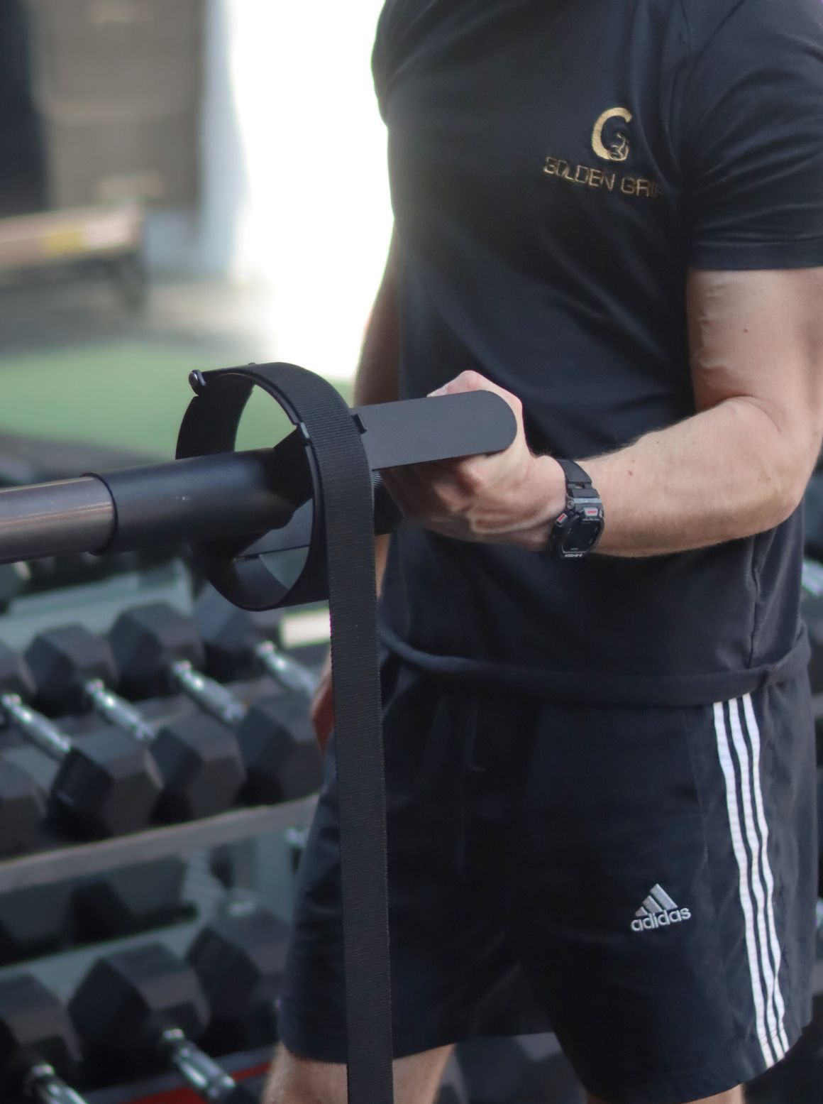 Barbell Pronator