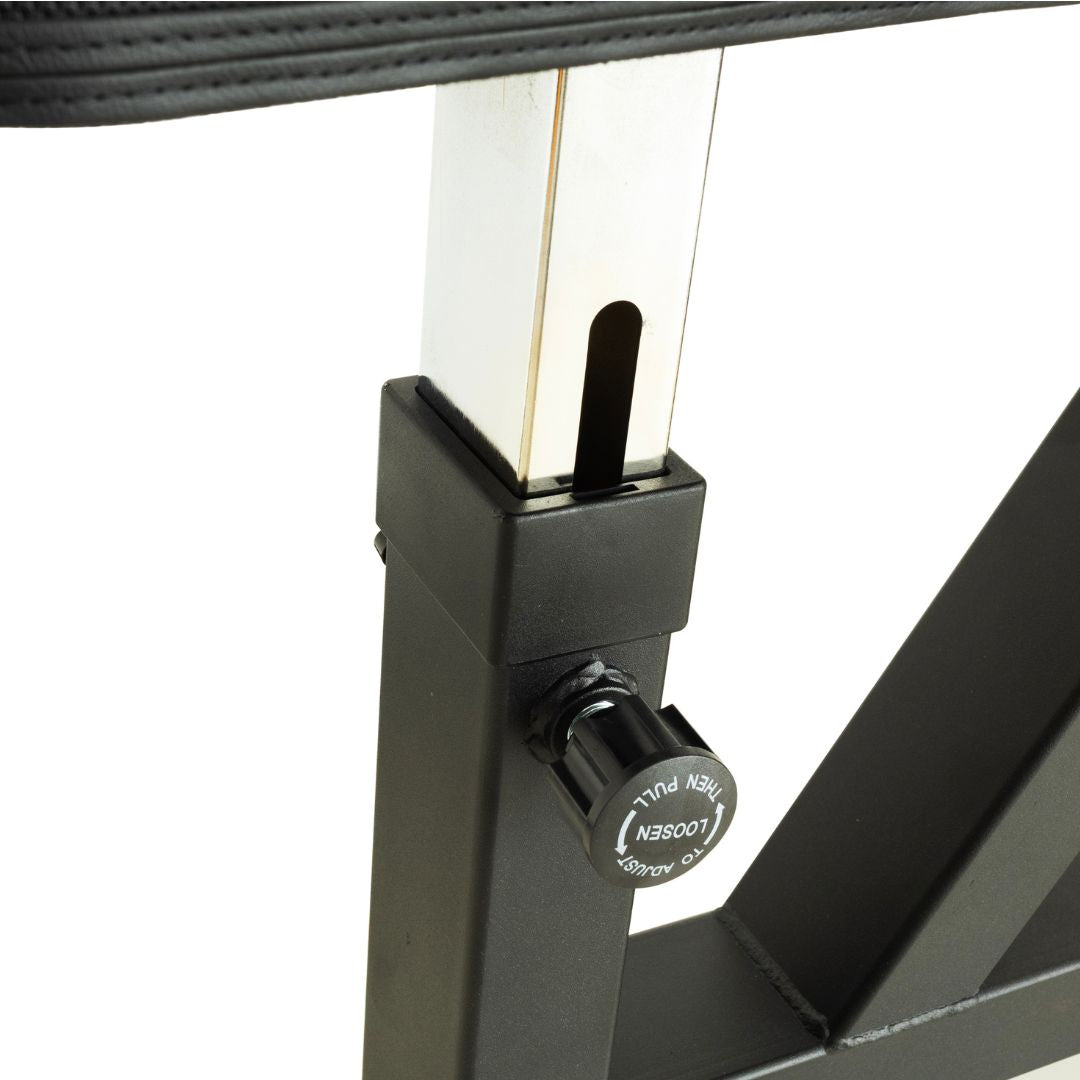 Preacher Curl Bench