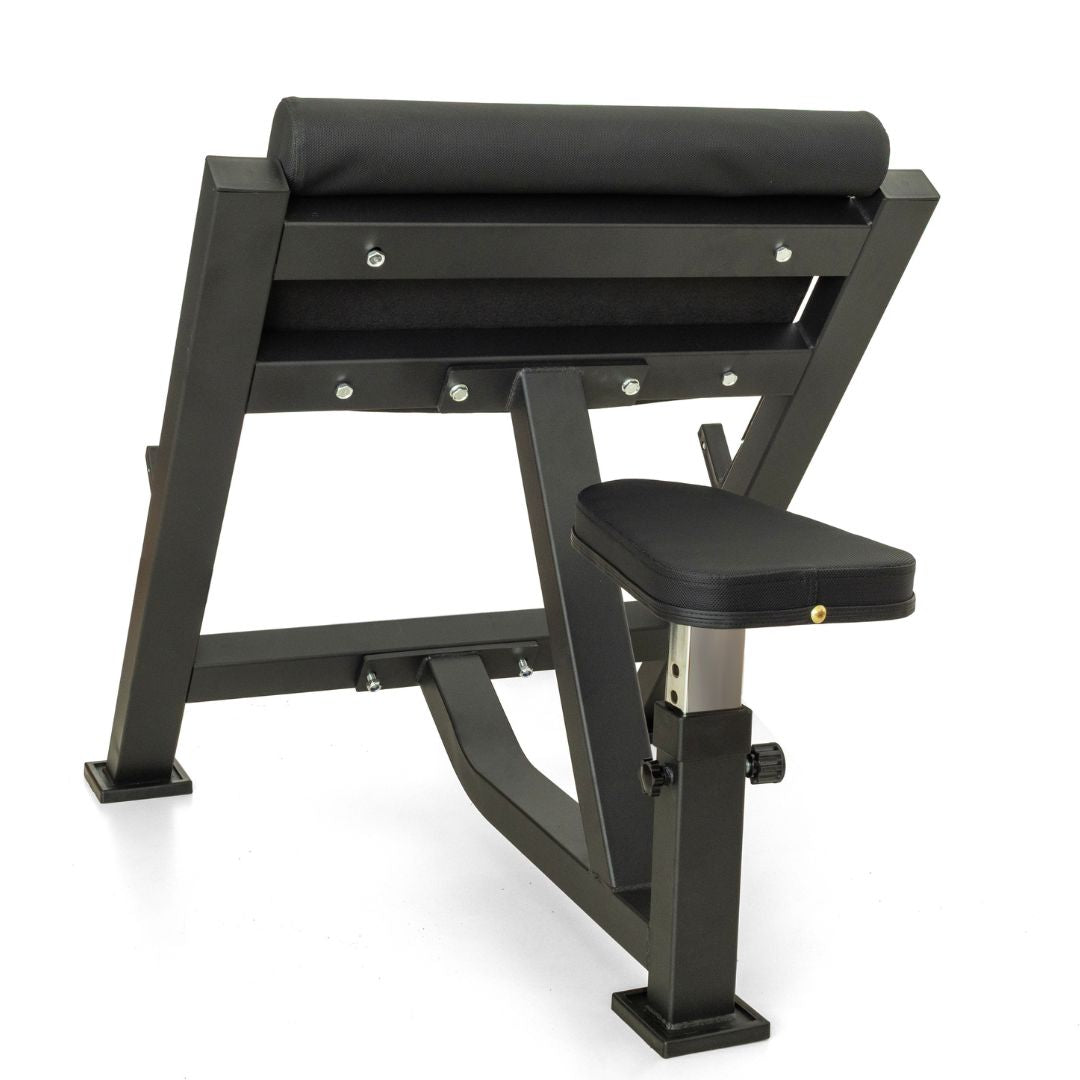 Preacher Curl Bench